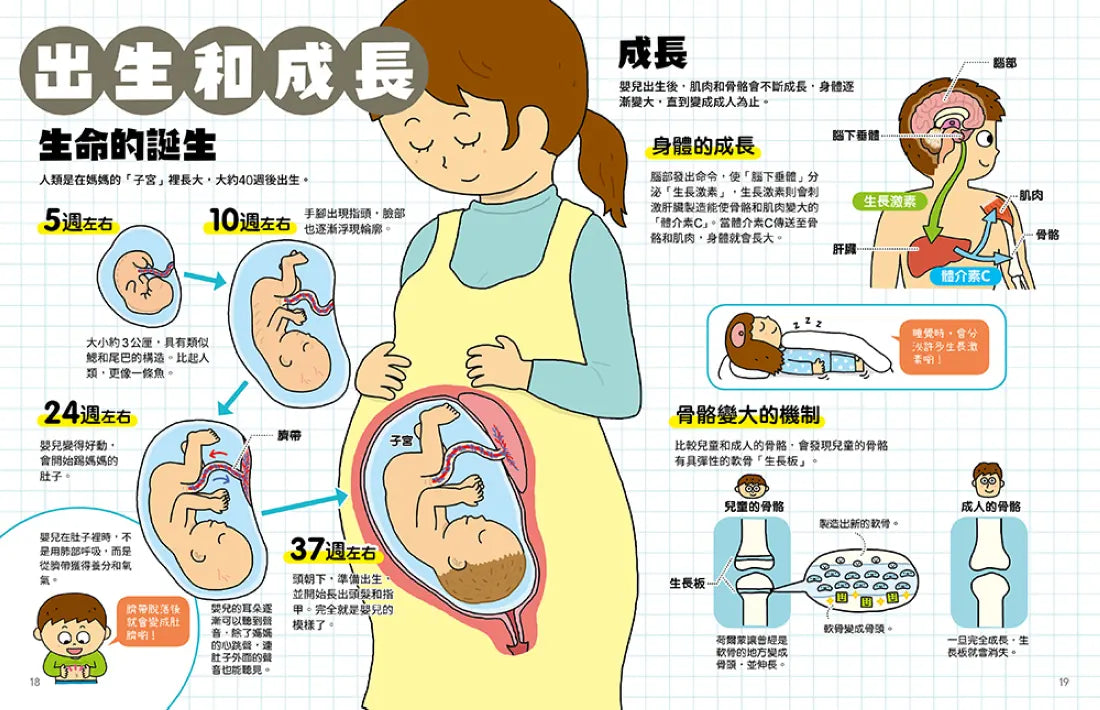 怦怦!怦怦!聽聽身體的祕密:打開耳朵,探索人體的構造和運作機制(附聽診器玩具+雙面人體海報) 精裝書 Hardback
