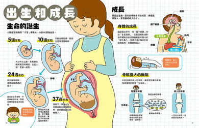 怦怦!怦怦!聽聽身體的祕密:打開耳朵,探索人體的構造和運作機制(附聽診器玩具+雙面人體海報) 精裝書 Hardback