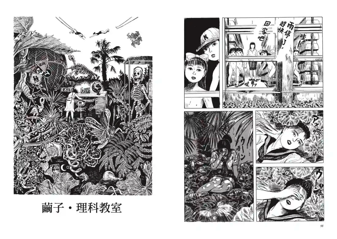 枇杷樹下 平裝書 Paperback