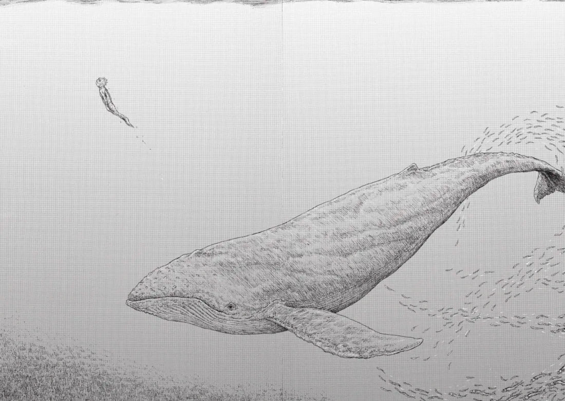 陽光妖怪 平裝書 Paperback