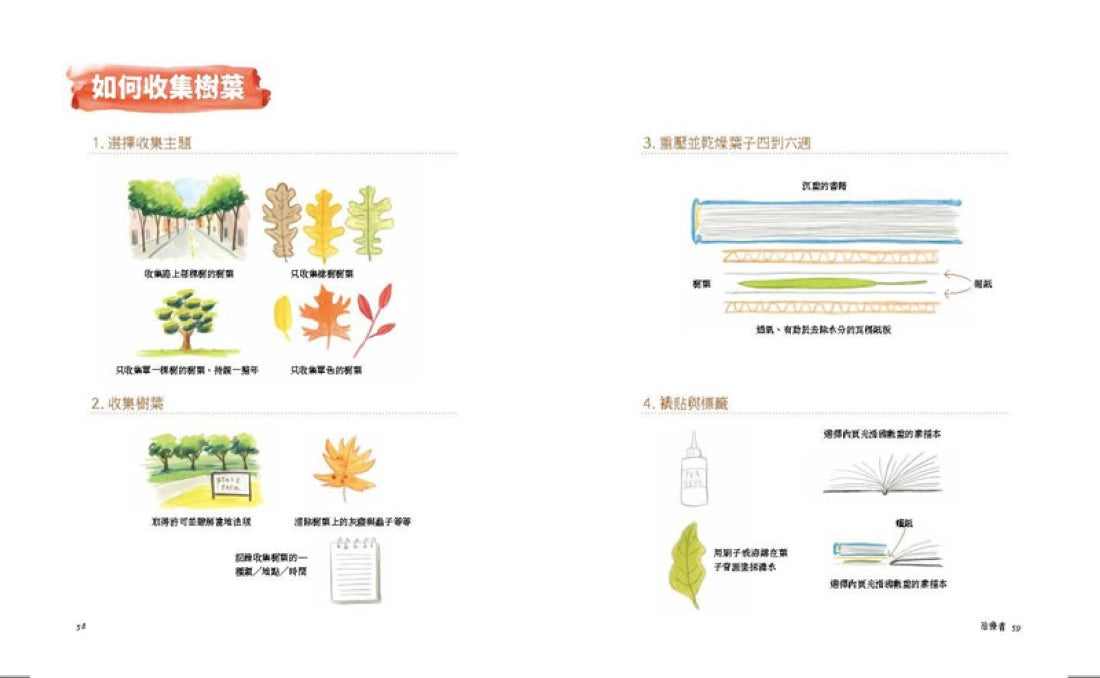 樹木收藏家:愛樹成痴者的故事 平裝書 Paperback
