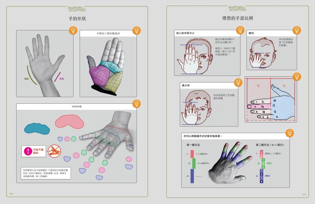 藝用3D人體解剖書:認識人體結構與造型 精裝書 Hardback