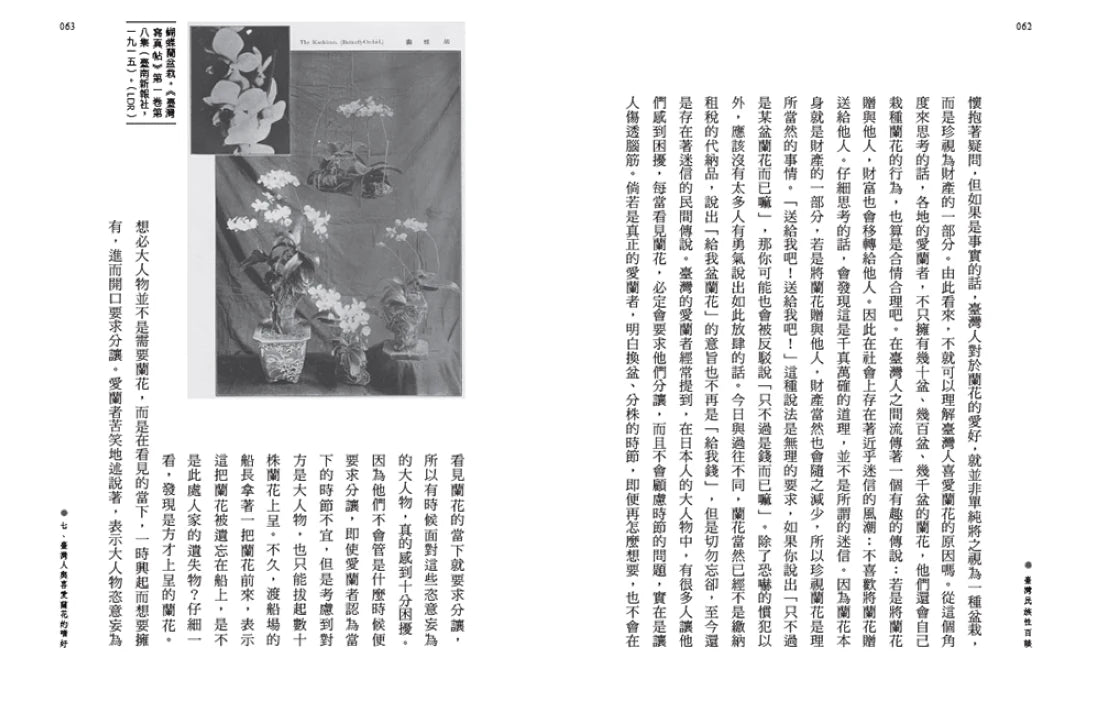 臺灣民族性百談 平裝書 Paperback