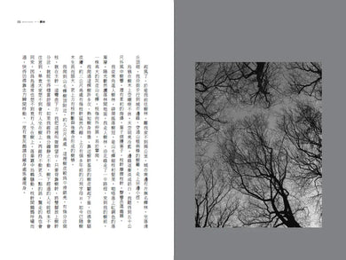 野性之境 平裝書 Paperback