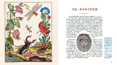 蟲之道:昆蟲的構造、行為和習性訴說的生命史詩 精裝書 Hardback