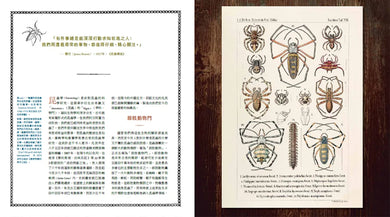 蟲之道:昆蟲的構造、行為和習性訴說的生命史詩 精裝書 Hardback