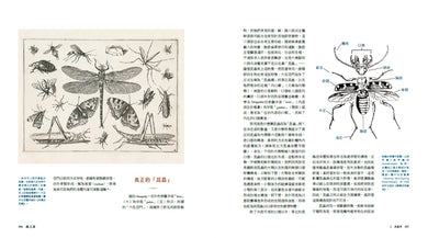 蟲之道:昆蟲的構造、行為和習性訴說的生命史詩 精裝書 Hardback