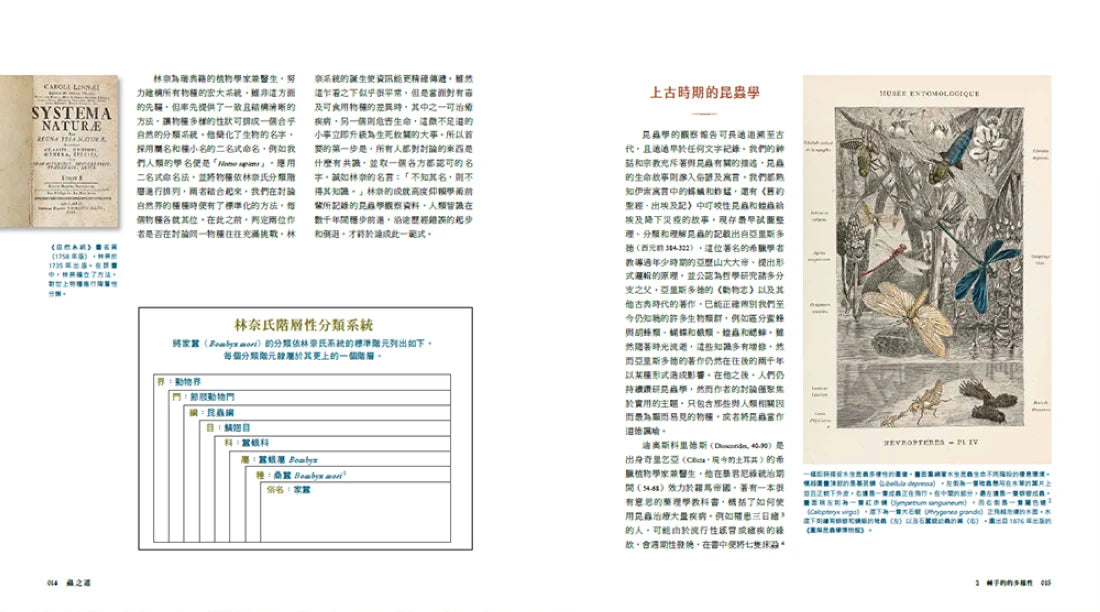 蟲之道:昆蟲的構造、行為和習性訴說的生命史詩 精裝書 Hardback