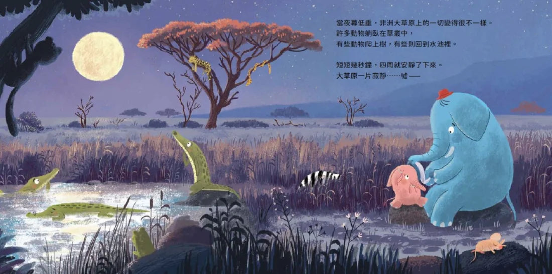 小小象不想睡覺! 精裝書 Hardback