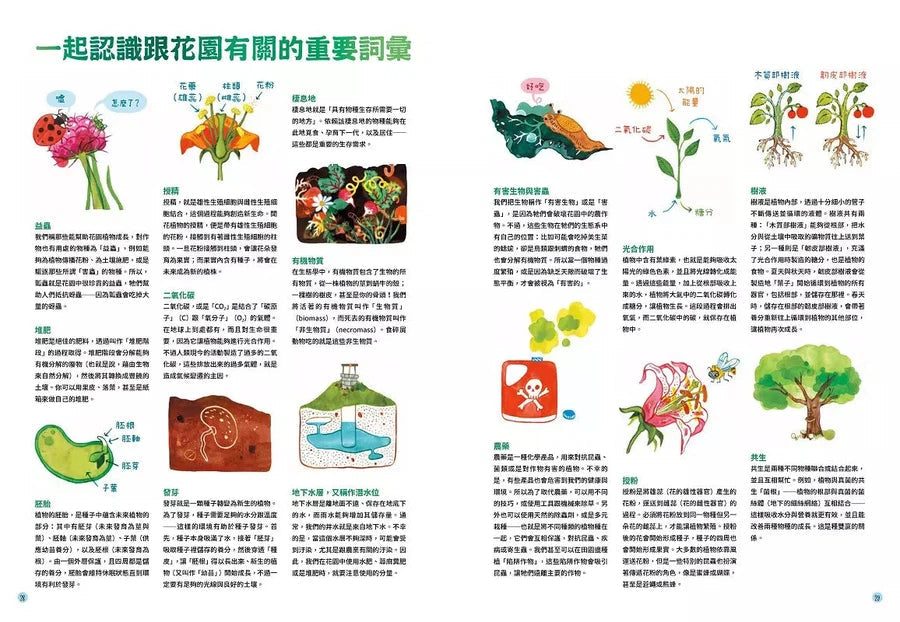 最美的生態花園【SDGs必讀小百科】:聯合國兒童基金會「青少年文學獎」得獎作家.環境教育典藏繪本(Amandine Thomas)-非故事: 常識通識 General Knowledge-買書書 BuyBookBook