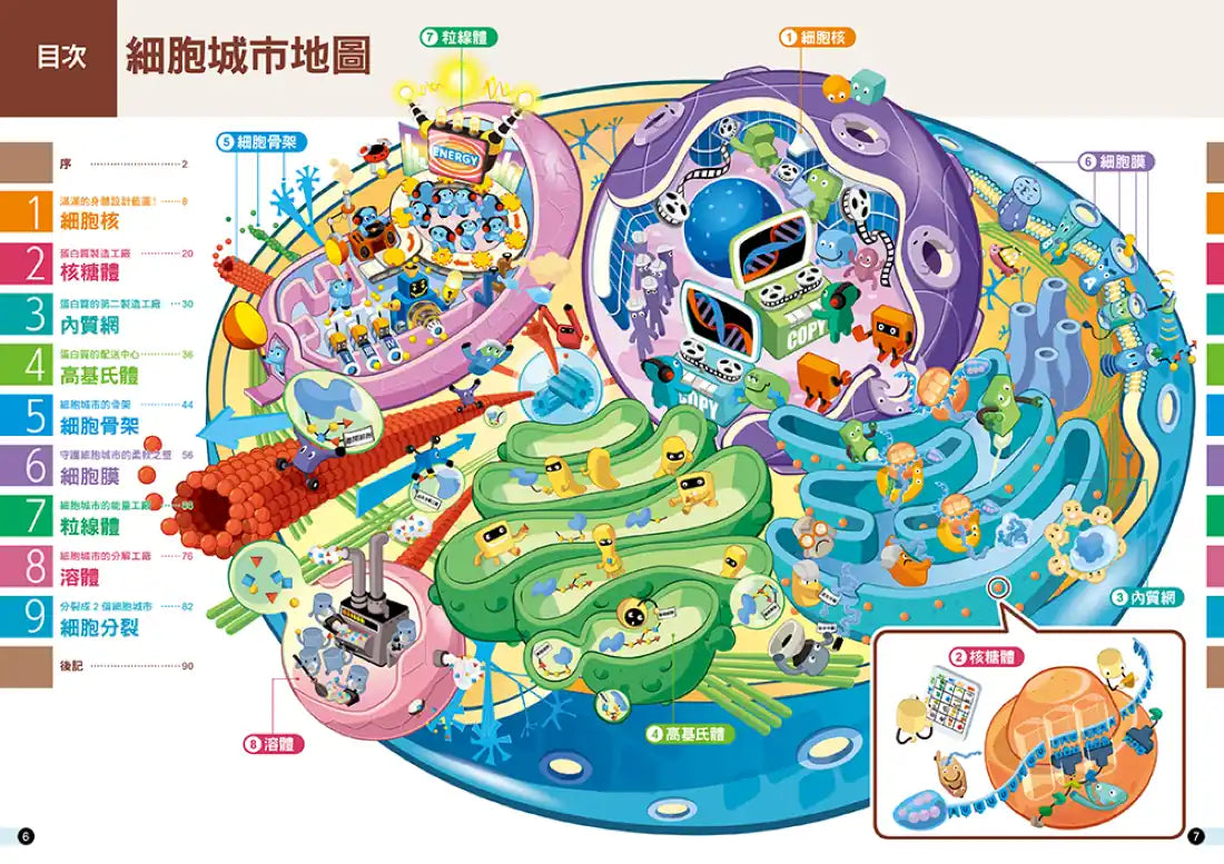 細胞城市大冒險(中小學生必備細胞生物學入門圖鑑) 平裝書 Paperback