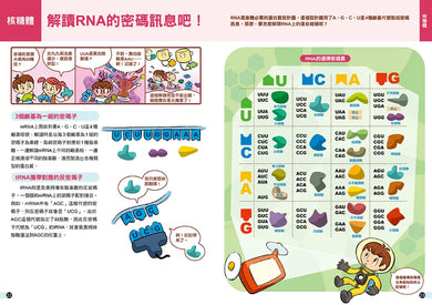細胞城市大冒險(中小學生必備細胞生物學入門圖鑑) 平裝書 Paperback