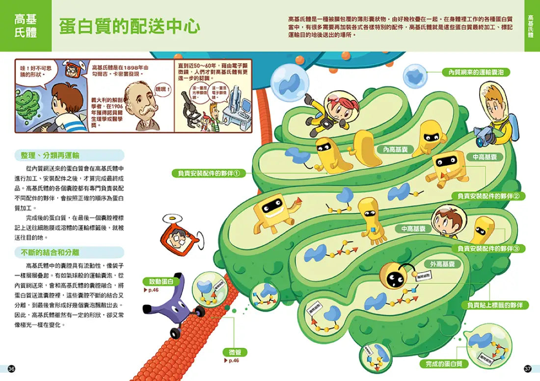 細胞城市大冒險(中小學生必備細胞生物學入門圖鑑) 平裝書 Paperback