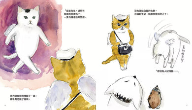 天上的貓:天空郵差 (熊倉珠美)-故事: 兒童繪本 Picture Books-買書書 BuyBookBook