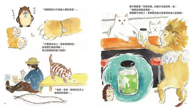 天上的貓:天空郵差 (熊倉珠美)-故事: 兒童繪本 Picture Books-買書書 BuyBookBook