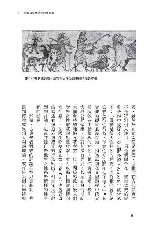 貓的世界史【隨書附贈占領世界的貓貓圖鑑貼紙】(凱薩琳.羅傑斯)-非故事: 歷史戰爭 History & War-買書書 BuyBookBook