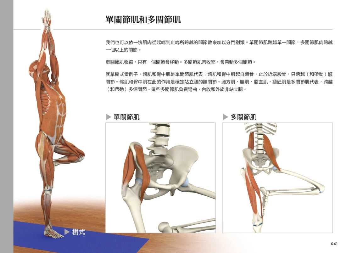 雷隆醫師的瑜伽解剖Ⅰ:關鍵肌肉 平裝書 Paperback