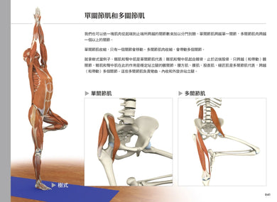 雷隆醫師的瑜伽解剖Ⅰ:關鍵肌肉 平裝書 Paperback