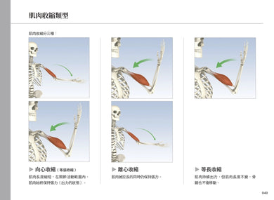 雷隆醫師的瑜伽解剖Ⅰ:關鍵肌肉 平裝書 Paperback