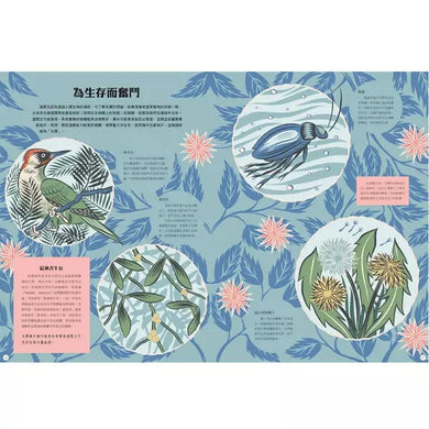 達爾文:19世紀最偉大的博物學家-非故事: 人物傳記 Biography-買書書 BuyBookBook