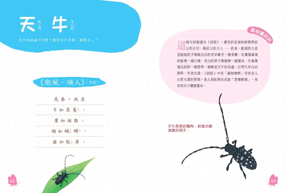 螞蟻搬家就會下雨嗎?:古詩詞裡的自然常識 3【昆蟲篇】-非故事: 動物植物 Animal & Plant-買書書 BuyBookBook