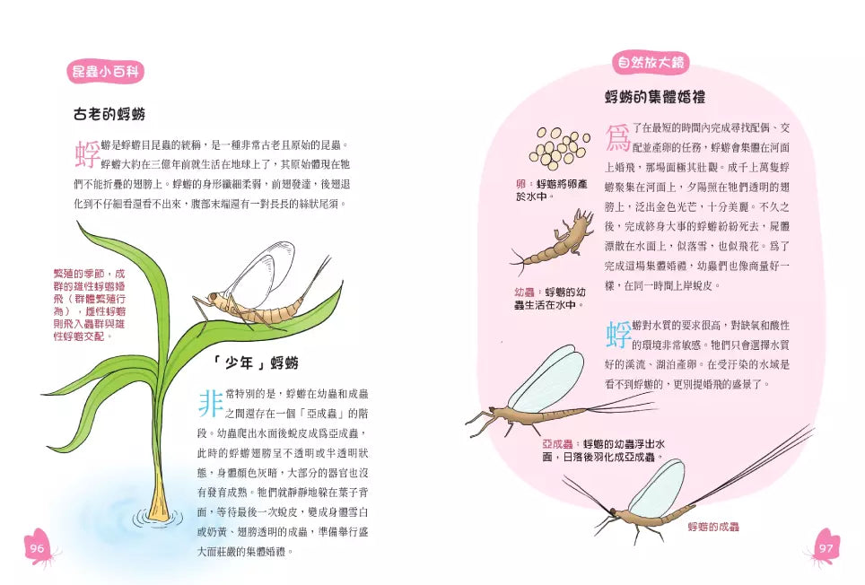 螞蟻搬家就會下雨嗎?:古詩詞裡的自然常識 3【昆蟲篇】-非故事: 動物植物 Animal & Plant-買書書 BuyBookBook