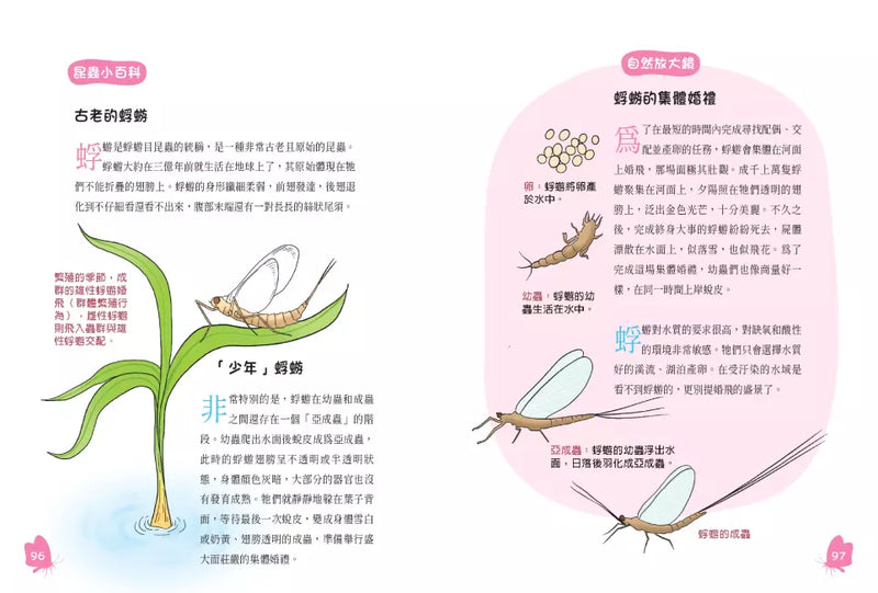 螞蟻搬家就會下雨嗎？：古詩詞裡的自然常識 3【昆蟲篇】-非故事: 動物植物 Animal & Plant-買書書 BuyBookBook