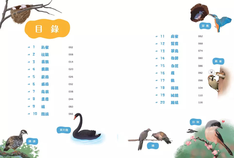 小白鷺為什麼排成一行飛?:古詩詞裡的自然常識 4【鳥類篇】-非故事: 動物植物 Animal & Plant-買書書 BuyBookBook