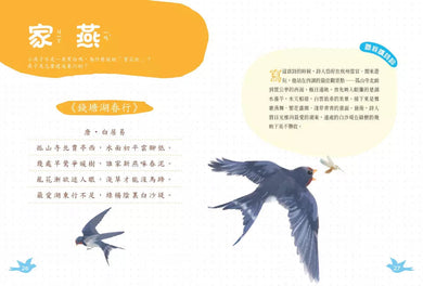 小白鷺為什麼排成一行飛?:古詩詞裡的自然常識 4【鳥類篇】-非故事: 動物植物 Animal & Plant-買書書 BuyBookBook