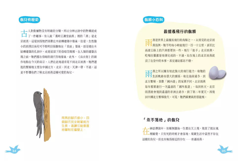 小白鷺為什麼排成一行飛?:古詩詞裡的自然常識 4【鳥類篇】-非故事: 動物植物 Animal & Plant-買書書 BuyBookBook
