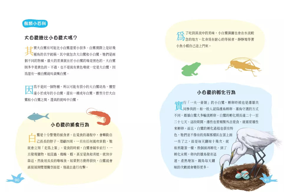 小白鷺為什麼排成一行飛?:古詩詞裡的自然常識 4【鳥類篇】-非故事: 動物植物 Animal & Plant-買書書 BuyBookBook