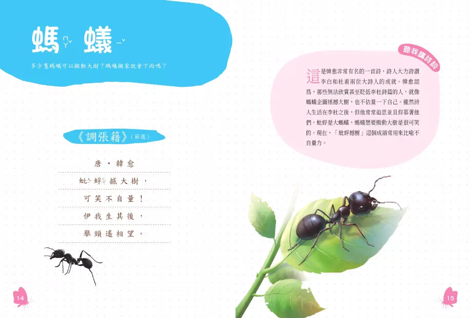 古詩詞裡的自然常識【套書】: 蔬菜.水果.昆蟲.鳥類,完全解答(全套4冊‧特別附贈給台灣孩子的四季自然觀察筆記)-非故事: 動物植物 Animal & Plant-買書書 BuyBookBook