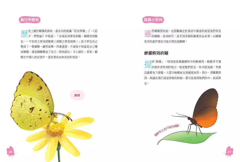 古詩詞裡的自然常識【套書】: 蔬菜.水果.昆蟲.鳥類,完全解答(全套4冊‧特別附贈給台灣孩子的四季自然觀察筆記)-非故事: 動物植物 Animal & Plant-買書書 BuyBookBook