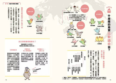 第一次養鸚鵡就戀愛了!【超萌圖解】鸚鵡飼育百科:從日常照料、玩耍訓練到健康照護,鳥寶一生全指南-非故事: 動物植物 Animal & Plant-買書書 BuyBookBook