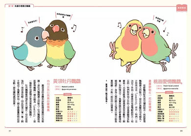 第一次養鸚鵡就戀愛了!【超萌圖解】鸚鵡飼育百科:從日常照料、玩耍訓練到健康照護,鳥寶一生全指南-非故事: 動物植物 Animal & Plant-買書書 BuyBookBook