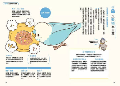 第一次養鸚鵡就戀愛了!【超萌圖解】鸚鵡飼育百科:從日常照料、玩耍訓練到健康照護,鳥寶一生全指南-非故事: 動物植物 Animal & Plant-買書書 BuyBookBook