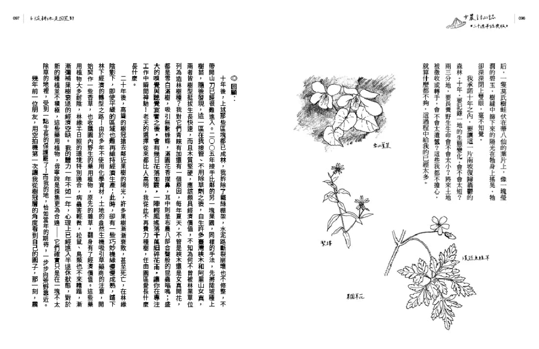 女農討山誌【二十週年經典版】(書衣海報特別收錄作者精緻山林繪、題字與雪劍山列圖) 平裝書 Paperback