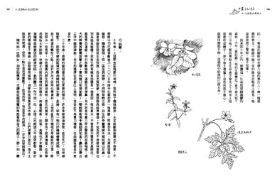 女農討山誌【二十週年經典版】(書衣海報特別收錄作者精緻山林繪、題字與雪劍山列圖) 平裝書 Paperback