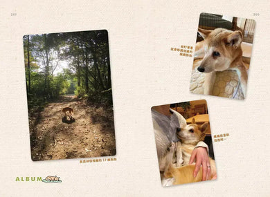 狗狗17歲:歡迎加入#祕密結社老犬俱樂部-非故事: 人物傳記 Biography-買書書 BuyBookBook