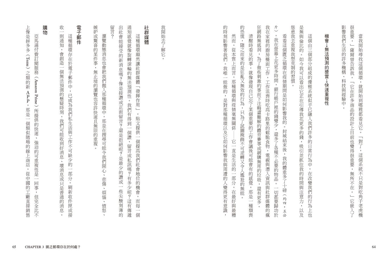 大腦不滿足:打破「匱乏循環」,在數位浪潮中奪回生活主導權-非故事: 科學科技 Science & Technology-買書書 BuyBookBook