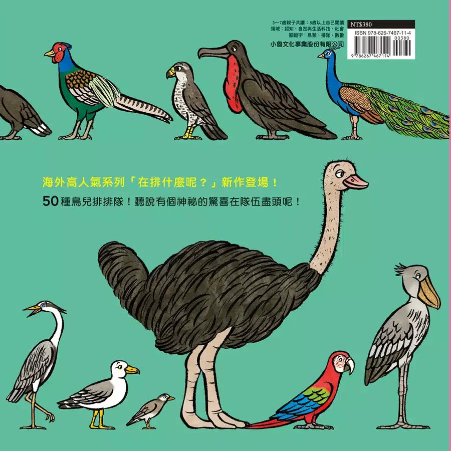 鳥兒在排什麼呢? (大村知子)-故事: 兒童繪本 Picture Books-買書書 BuyBookBook