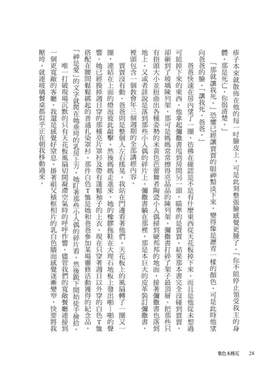 紫色木槿花(非裔天才女作家阿迪契一鳴驚人的處女作) 平裝書 Paperback