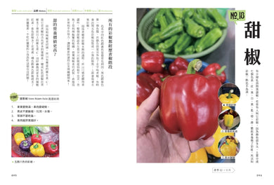 菜市場的一年:100種少婦好吃驚的蔬菜採買攻略 平裝書 Paperback