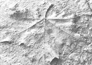 侘寂Wabi-Sabi:無常、不完美、未完成,以「無」為核心卻蘊含廣袤可能性的哲學 平裝書 Paperback