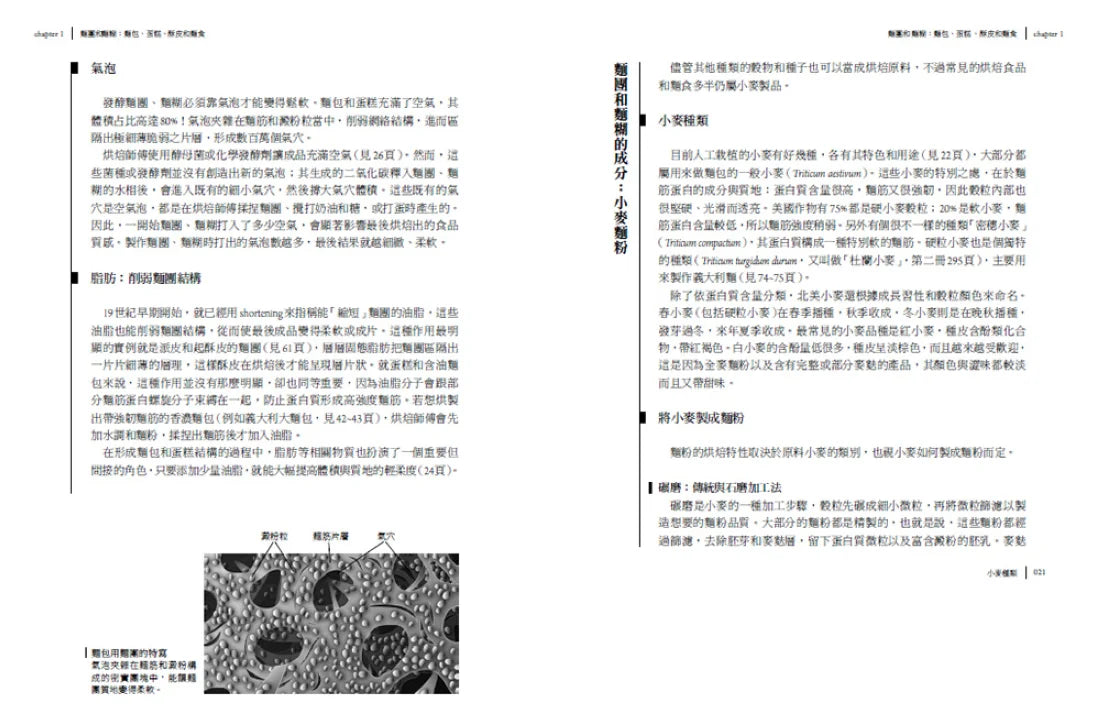 食物與廚藝3:麵食、醬料、甜點、飲料(二版) 平裝書 Paperback