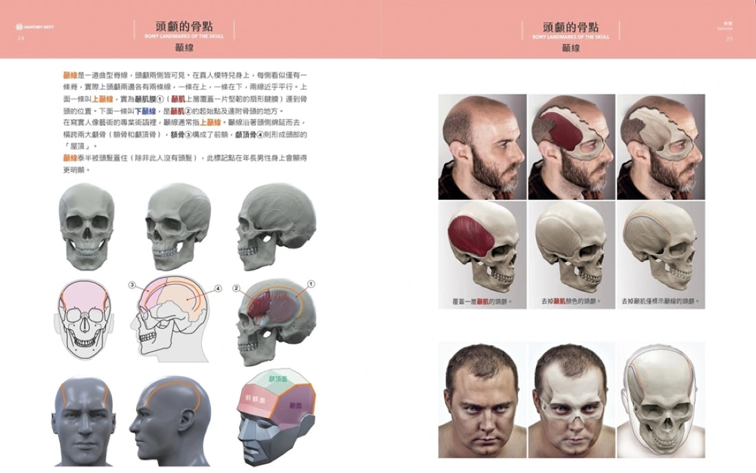 藝用3D表情解剖書:透視五官表情的結構與造型 精裝書 Hardback