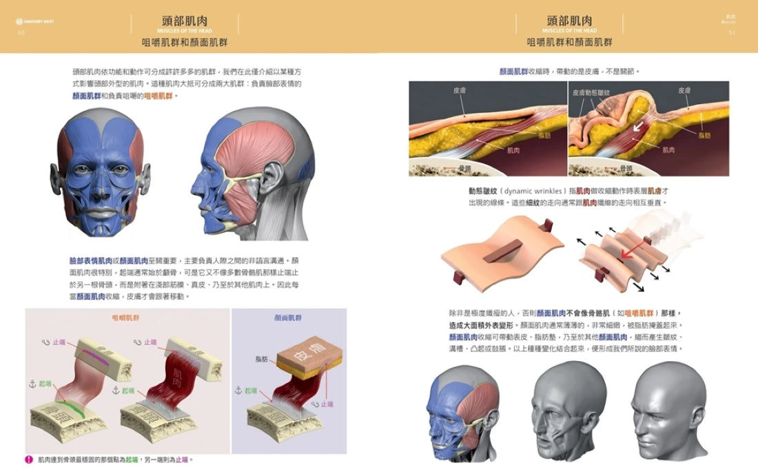 藝用3D表情解剖書:透視五官表情的結構與造型 精裝書 Hardback
