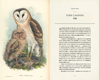 臺灣珍鳥重現:古爾德鳥類博物誌臺灣選集 精裝書 Hardback