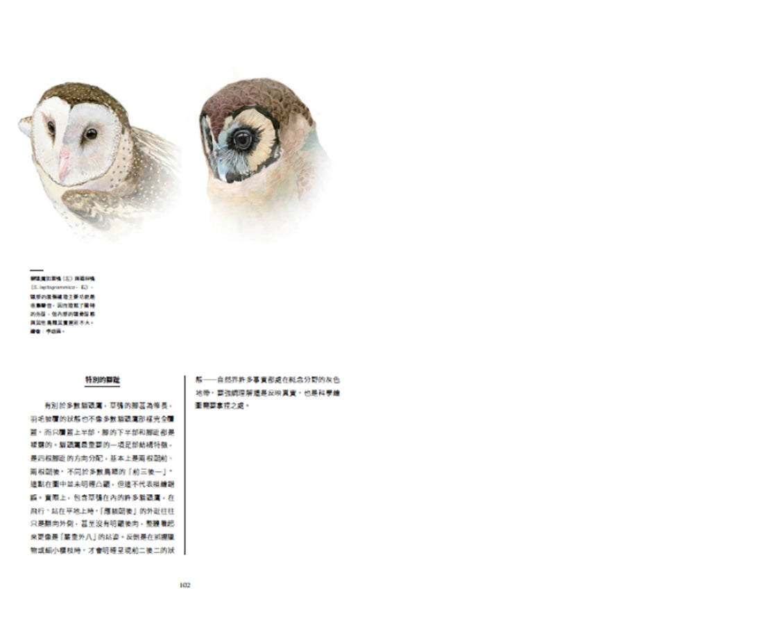 臺灣珍鳥重現:古爾德鳥類博物誌臺灣選集 精裝書 Hardback