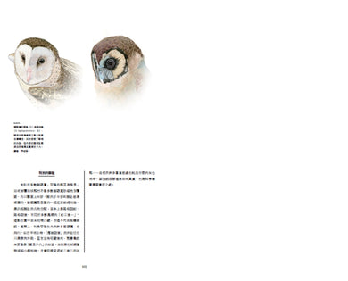 臺灣珍鳥重現:古爾德鳥類博物誌臺灣選集 精裝書 Hardback